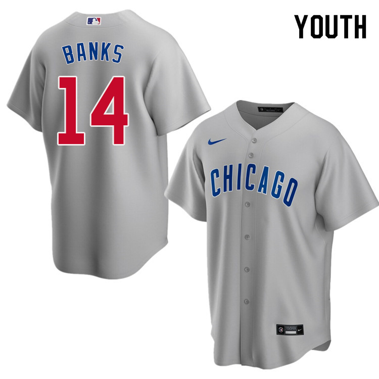 Nike Youth #14 Ernie Banks Chicago Cubs Baseball Jerseys Sale-Gray